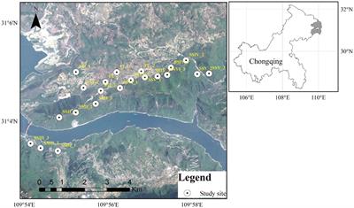 Soil nutrients, enzyme activities, and bacterial communities in varied plant communities in karst rocky desertification regions in Wushan County, Southwest China